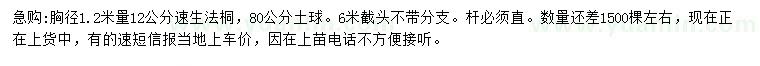 求购1.2米量12公分速生法桐