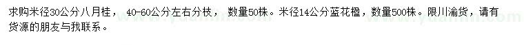 求购米径30公分八月桂、14公分蓝花楹