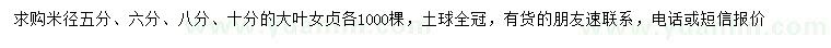 求购5、6、8、10公分大叶女贞