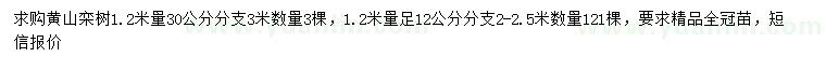 求购1.2米量30公分黄山栾树