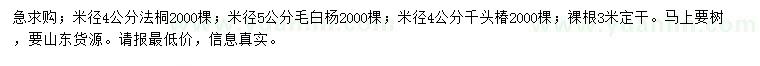 求购法桐、毛白杨、千头椿