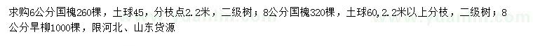 求购6、8公分国槐、8公分旱柳