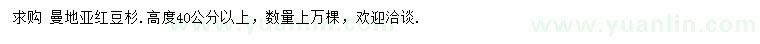 求购高40公分以上曼地亚红豆杉