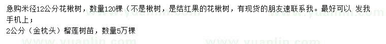 求购米径12公分花楸树、2公分金枕头榴莲树