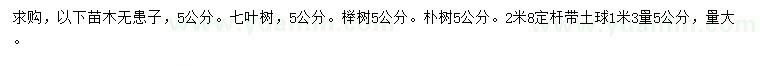 求购无患子、七叶树、榉树等