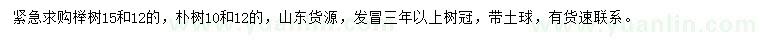 求购12、15公分榉树、10、12公分朴树