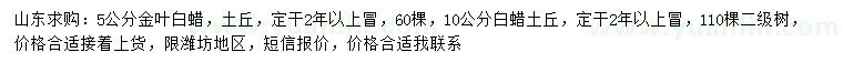 求购5公分金叶白蜡、10公分白蜡