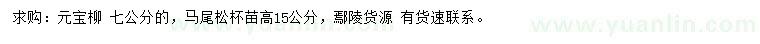 求购7公分元宝柳、高15公分马尾松