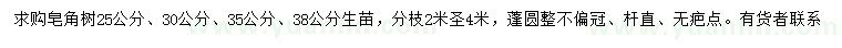 求购25、30、35、38公分皂角