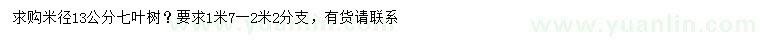 求购米径13公分七叶树