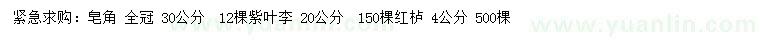 求购皂角、紫叶李、红栌