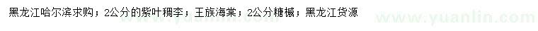 求购紫叶稠李、王族海棠、糖槭