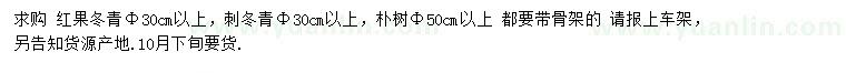 求购红果冬青、刺冬青、朴树