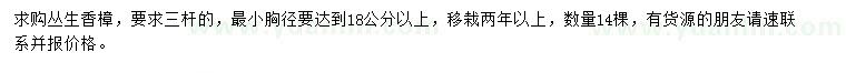 求购胸径18公分以上丛生香樟