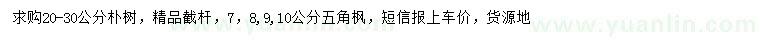 求购20-30公分朴树、7-10公分五角枫