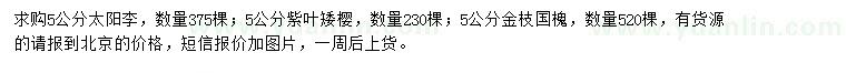 求购太阳李、紫叶矮樱、金枝国槐