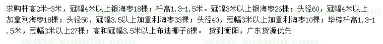 求购银海枣、加拿利海枣、华棕等