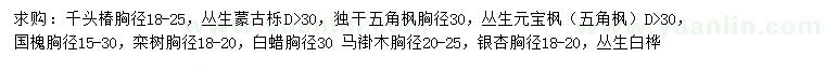 求购千头椿、丛生蒙古栎、五角枫等