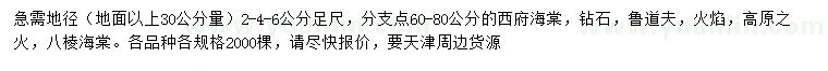 求购西府海棠、钻石海棠、鲁道夫海棠等