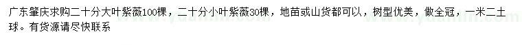 求购20公分大叶紫薇、小叶紫薇