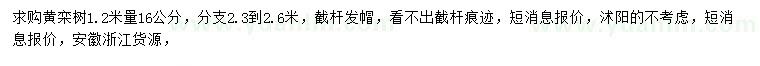 求购1.2米量16公分黄栾树