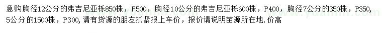 求购胸径5、7、10、12公分弗吉尼亚栎