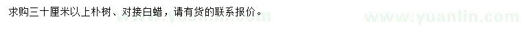 求购30公分以上朴树、对接白蜡