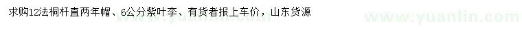 求购12公分法桐、6公分紫叶李