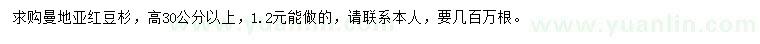 求购高30公分以上曼地亚红豆杉