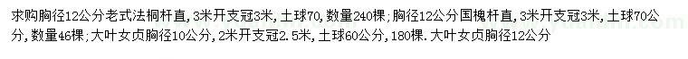 求购老式法桐、国槐、大叶女贞