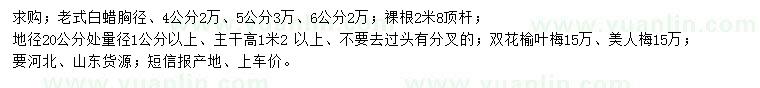 求购老式白蜡、榆叶梅、美人梅