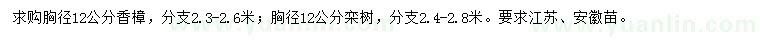 求购胸径12公分香樟、栾树