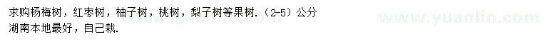 求购杨梅树、红枣树、柚子树等