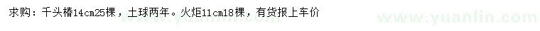 求购14公分千头椿、11公分火炬