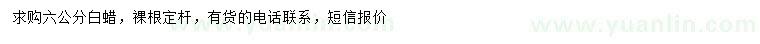 求购6公分白蜡