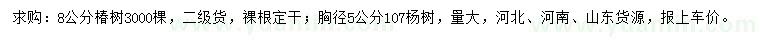 求购8公分椿树、胸径5公分107杨树