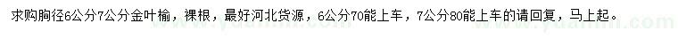 求购胸径6、7公分金叶榆