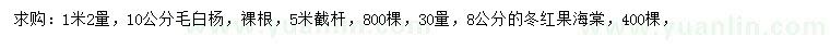 求购1.2米量10公分毛白杨、8公分冬红海棠