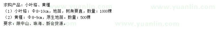 求购8-10公分小叶榕、8-9公分黄槿