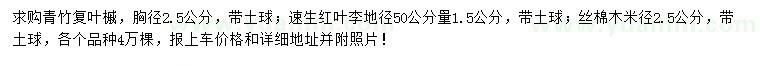 求购青竹复叶槭、速生红叶李、丝棉木