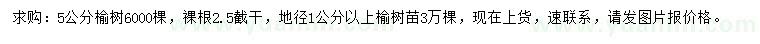 求购5公分榆树、地径1公分以上榆树苗