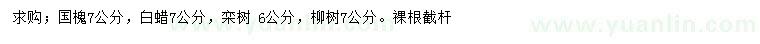 求购国槐、白蜡、栾树等