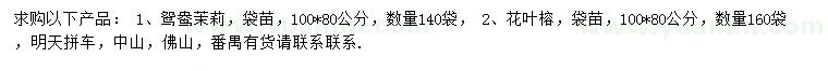 求购80公分鸳鸯茉莉、花叶榕