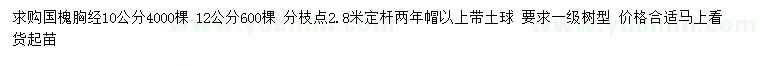 求购胸径10、12公分国槐