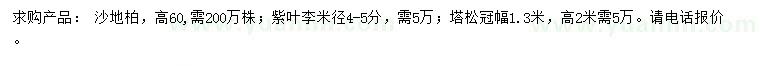 求购沙地柏、紫叶李、塔松