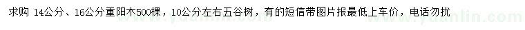 求购14、16公分重阳木、10公分五谷树