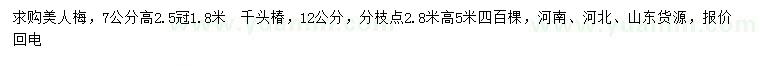 求购7公分美人梅、12公分千头椿