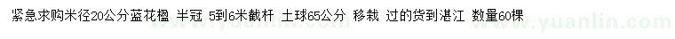 求购米径20公分蓝花楹