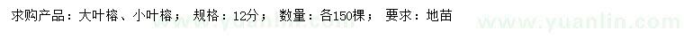 求购12公分大叶榕、小叶榕