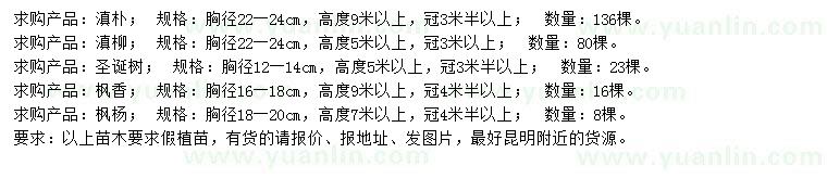 求购滇朴、滇柳、圣诞树等